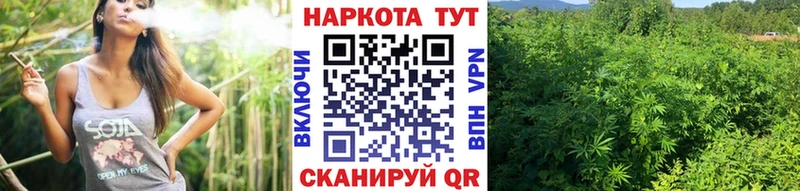 Где найти наркотики Белокуриха АМФЕТАМИН Cocaine Меф Кодеин СОЛЬ ГАШИШ