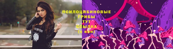 jwh Медногорск