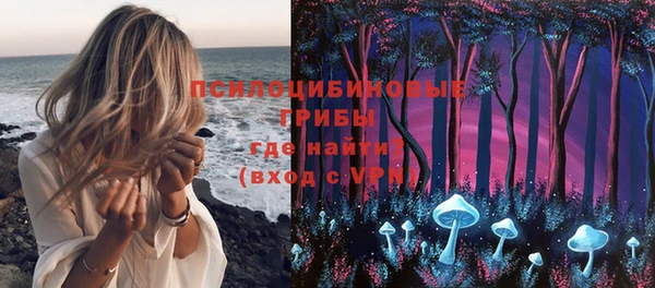 не бодяженный Алапаевск