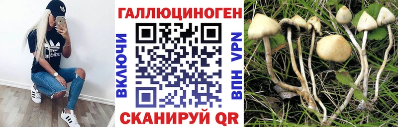 Галлюциногенные грибы ЛСД  наркотики  Белокуриха 